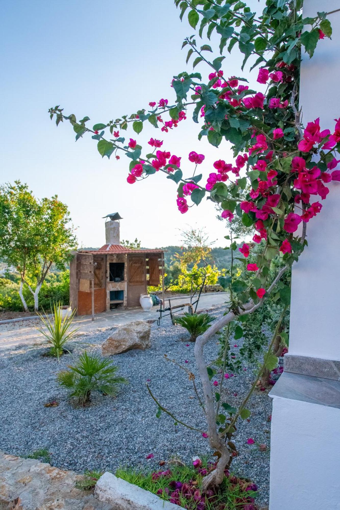 Vila To Stolidi Tis Psinthou Psinthos Exteriér fotografie