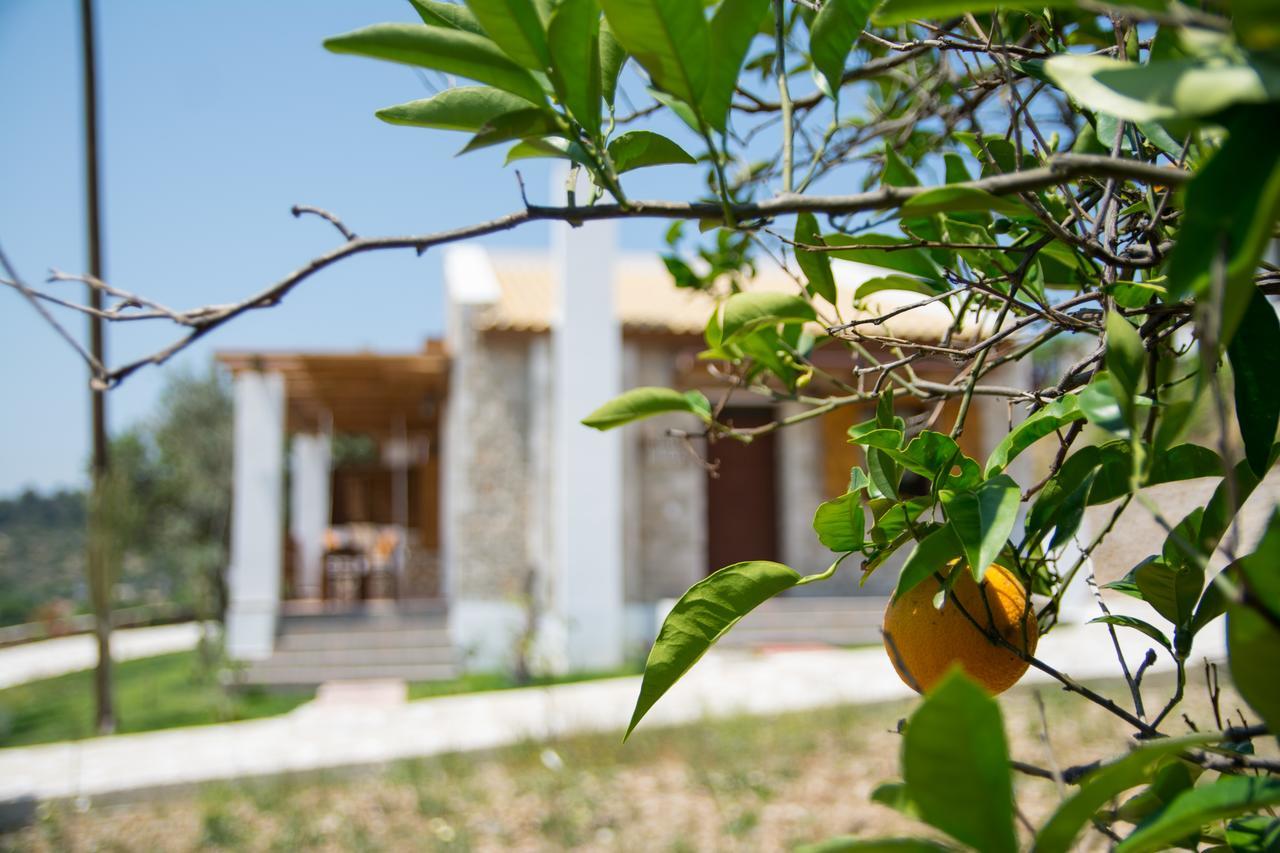Vila To Stolidi Tis Psinthou Psinthos Exteriér fotografie